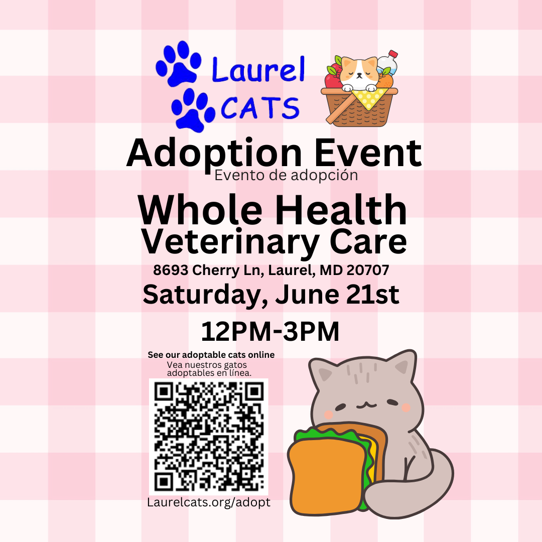 Adoption Event